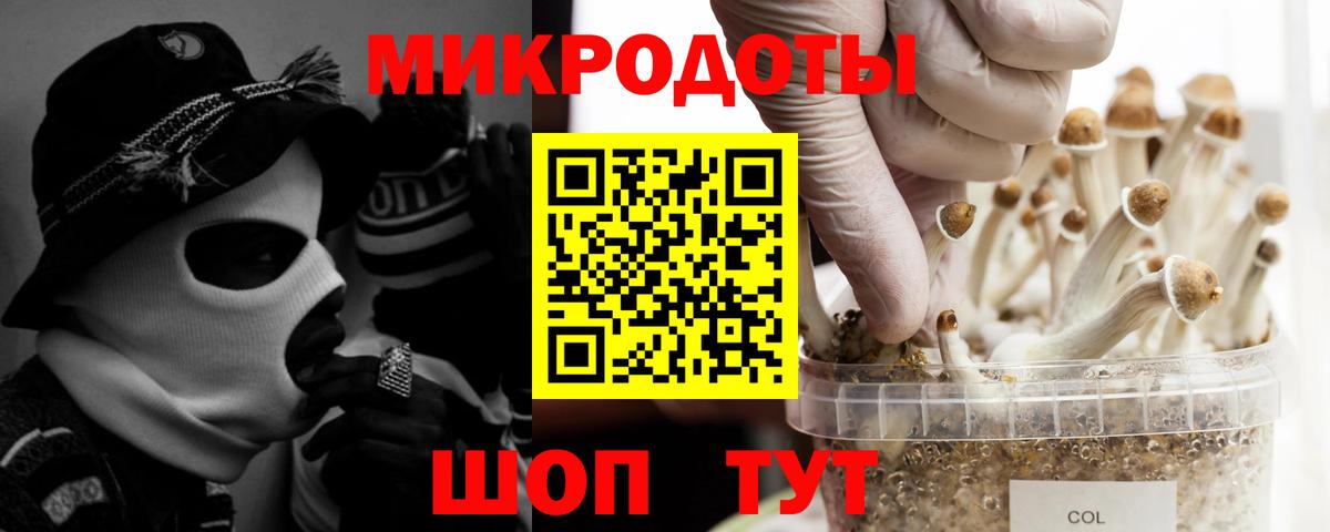 Псилоцибиновые грибы прущие грибы  где купить наркотик  Котельники  Галлюциногенные грибы мухоморы  Вход с VPN 